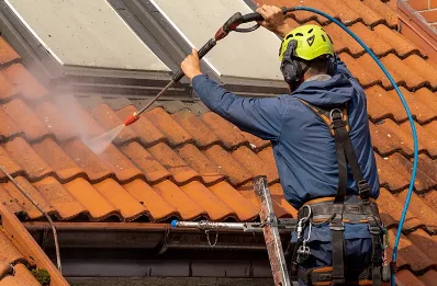 Démoussage et hydrofuge de toiture à Bus